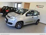 Fiat FIAT Panda 1.2 Young - Fiat Panda Young mit Benzin-Antrieb