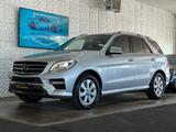 Mercedes-Benz ML 350 CDI BlueTec 4Matic*1.Hand*Vollaustattung* - Mercedes-Benz ML 350 Gebrauchtwagen in Hamburg