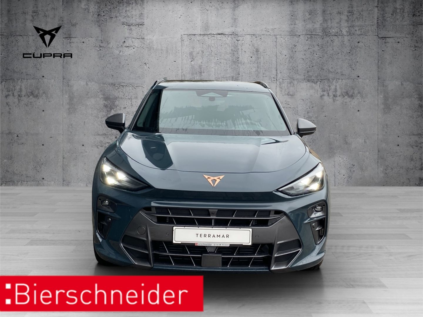 Cupra Terramar - Bild 3