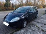 Fiat Punto 1.4 2009 Benzin Tüv neu und sehr gepflegt  - Fiat Punto in Hannover