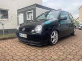 Volkswagen Lupo 1.4 Faltdach/TA-Technix/Porschefelgen - Volkswagen Lupo: Faltdach