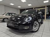 Volkswagen Beetle 2.0 TDI Lim. Fender Edition | SHZ | LED - Volkswagen Beetle: Fender Edition