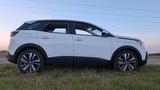 Peugeot 3008 1.2 PureTech 130 Active mit GT Details  - Peugeot 3008: Active
