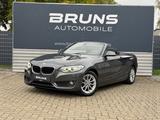 BMW 218d Cabrio Advantage Automatik Leder PDC - BMW 218: 218d