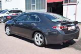 Honda Accord Lim. Executive - Honda Accord: Limousine