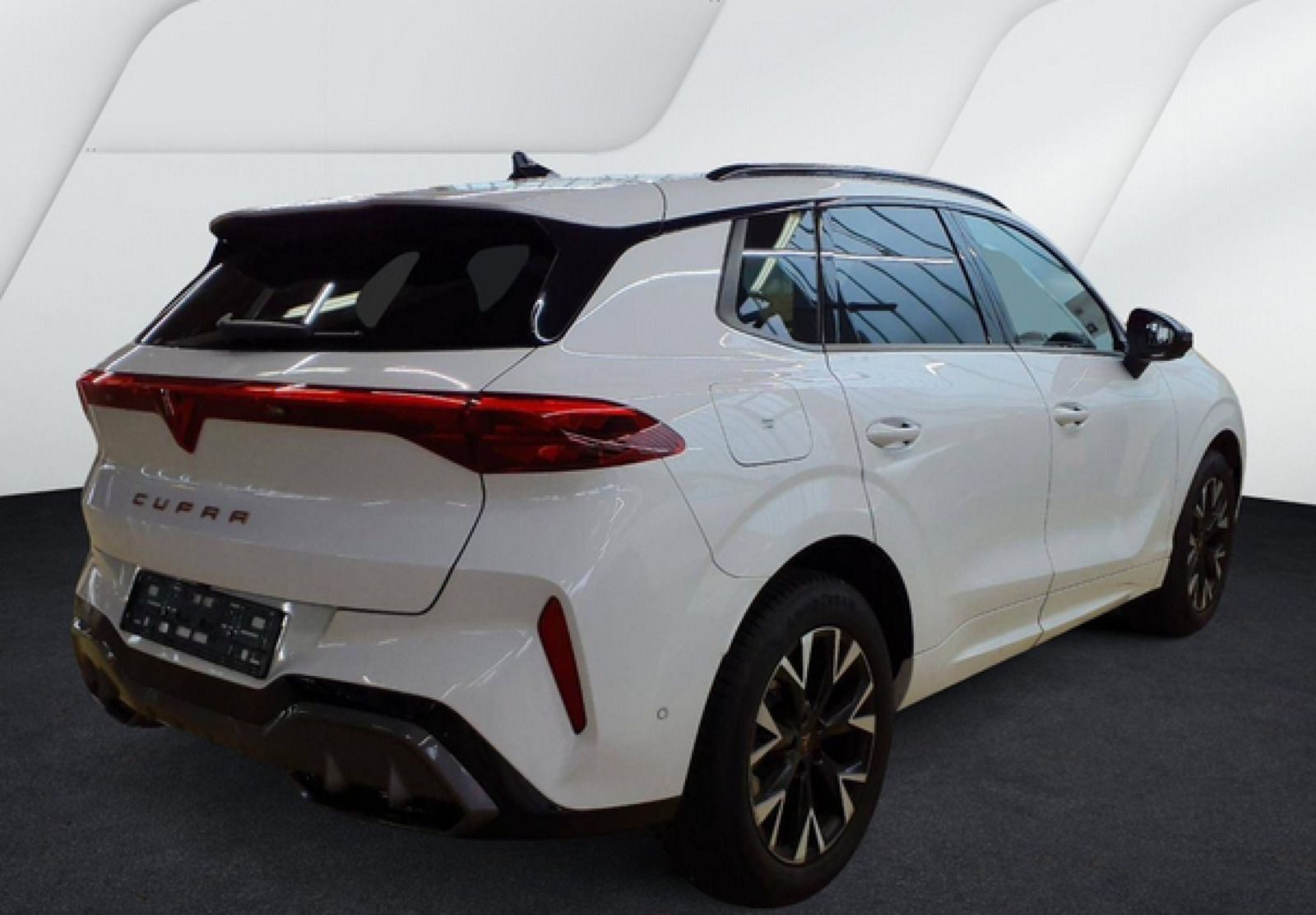 Cupra Terramar - Bild 2