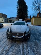 Jaguar xj 2015 - Jaguar XJ aus 2014