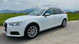 Audi A4 2.0 TDI Quattro S-Tronic AHK STHZ PANO ViCo - Audi A4 mit Diesel-Antrieb: Weiß, Kombi