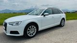 Audi A4 2.0 TDI Quattro S-Tronic AHK STHZ PANO ViCo - Audi A4 mit Diesel-Antrieb: Standheizung