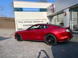 Ford Mustang 5.0 Ti-VCT V8 Fastback GT - Ford Mustang Gebrauchtwagen in Dresden