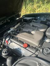 Jaguar XJR 4.0 bj 2000 27000km documentiert - Jaguar XJR: 4.0