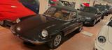 Alfa Romeo Spider 2.0 Veloce - Alfa Romeo aus 1982