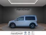 Volkswagen Caddy 1.4 TSI 125 PS DSG *ALLTRACK*NAVI ACC APP - Volkswagen Caddy: Weiß