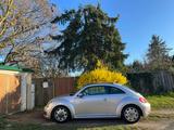 Volkswagen Beetle 1.2 TSI BMT Design Design (Vollleder) - Volkswagen Beetle mit Panoramadach