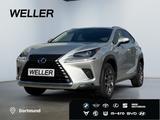 Lexus NX 300h Executive Line *Bi-LED*CAM*Leder*el Sitz - Lexus NX 300 Gebrauchtwagen