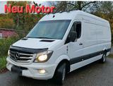 Mercedes-Benz Sprinter 316 mit  Neu Motor - Mercedes-Benz Sprinter: Motor