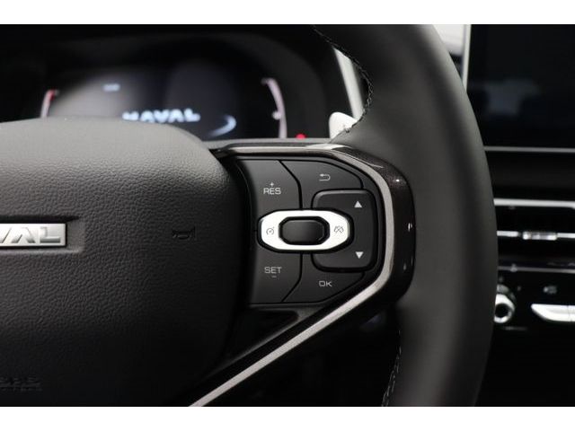 Fahrzeugabbildung GWM Haval Jolion Pro Premium 1.5 Turbo 7 Gang Pano S