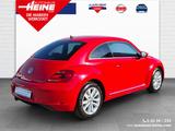 Volkswagen Beetle Lim. Design|PDC|SHZ|Nebel|ALU|Licht&Sicht - Volkswagen Beetle: Rot