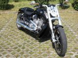 Harley-Davidson V-ROD Muscle (VRSCF) - Angebote entsprechen deinen Suchkriterien