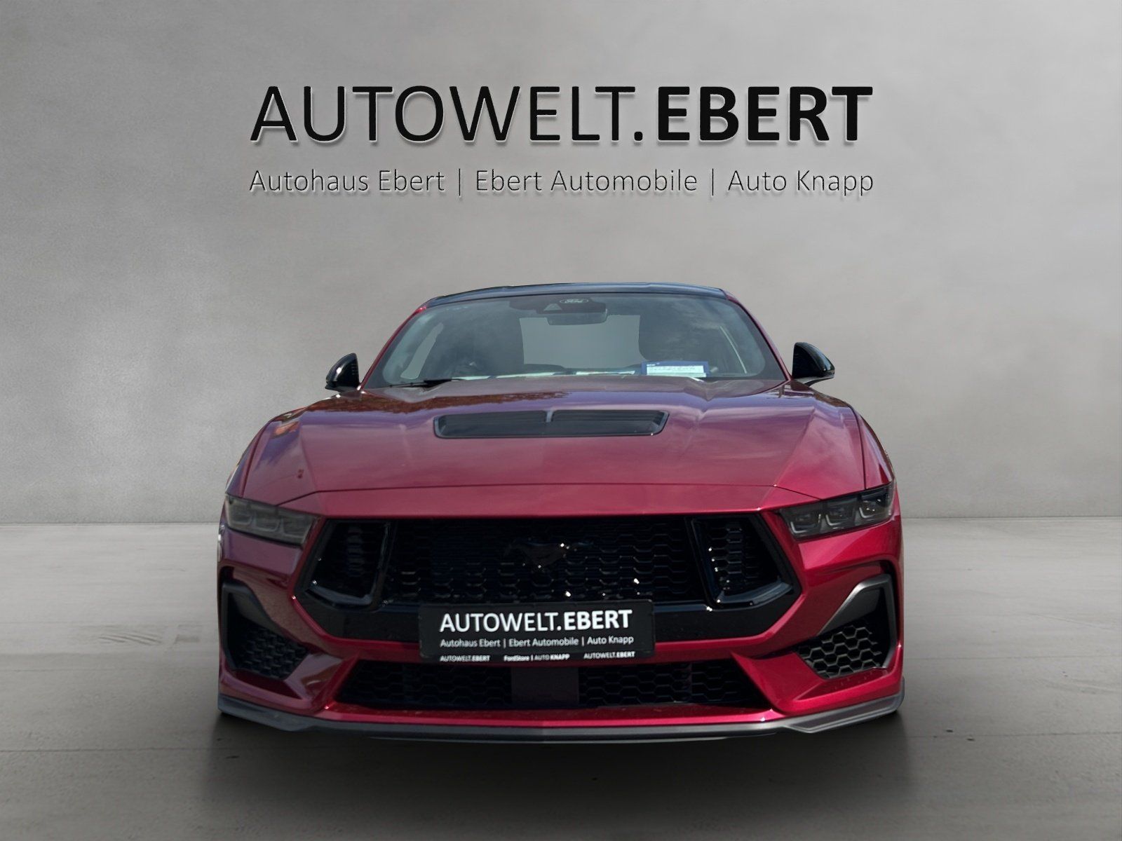 Fahrzeugabbildung Ford Mustang Fastback GT Nite Pony Paket MagneRide