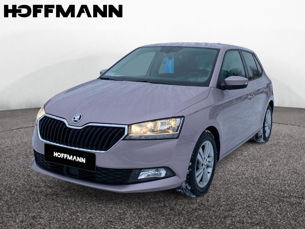 Fahrzeugabbildung SKODA Fabia 1.0 TSI Style