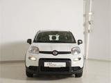 Fiat Panda 1.0 GSE Hybrid - Fiat Jahreswagen