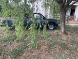 Toyota Hilux T100 pick-up - Toyota Hilux mit Benzin-Antrieb