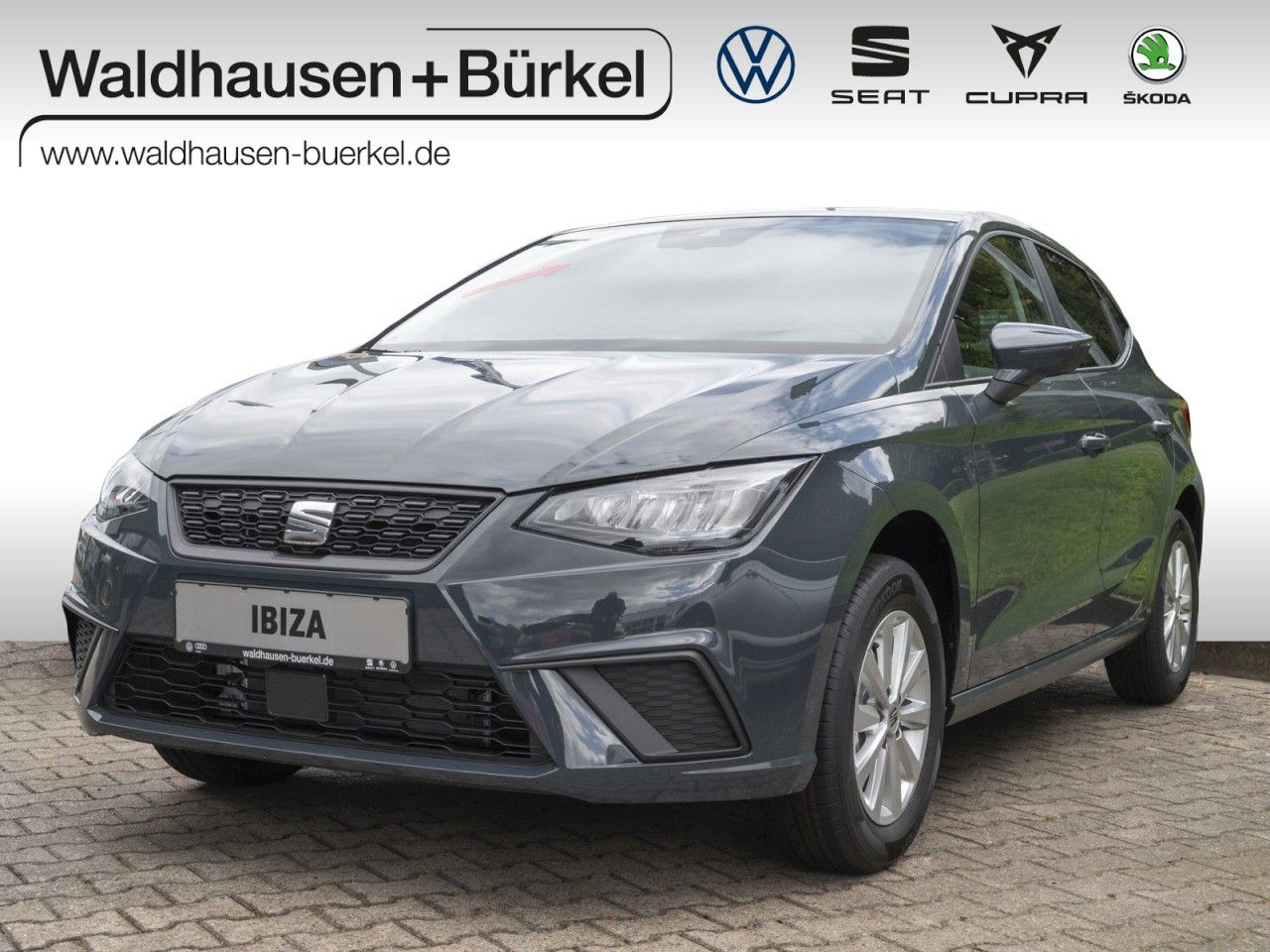 Seat Ibiza Road Edition 1.0 TSI NAV+SitzHZ+Klima