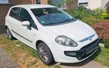 Fiat Grande Punto 1.2  5-Türer  TÜV bis ... - Fiat Grande Punto in Bonn