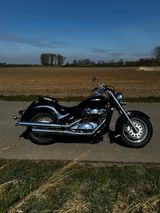 Suzuki VL 800 - Angebote entsprechen deinen Suchkriterien