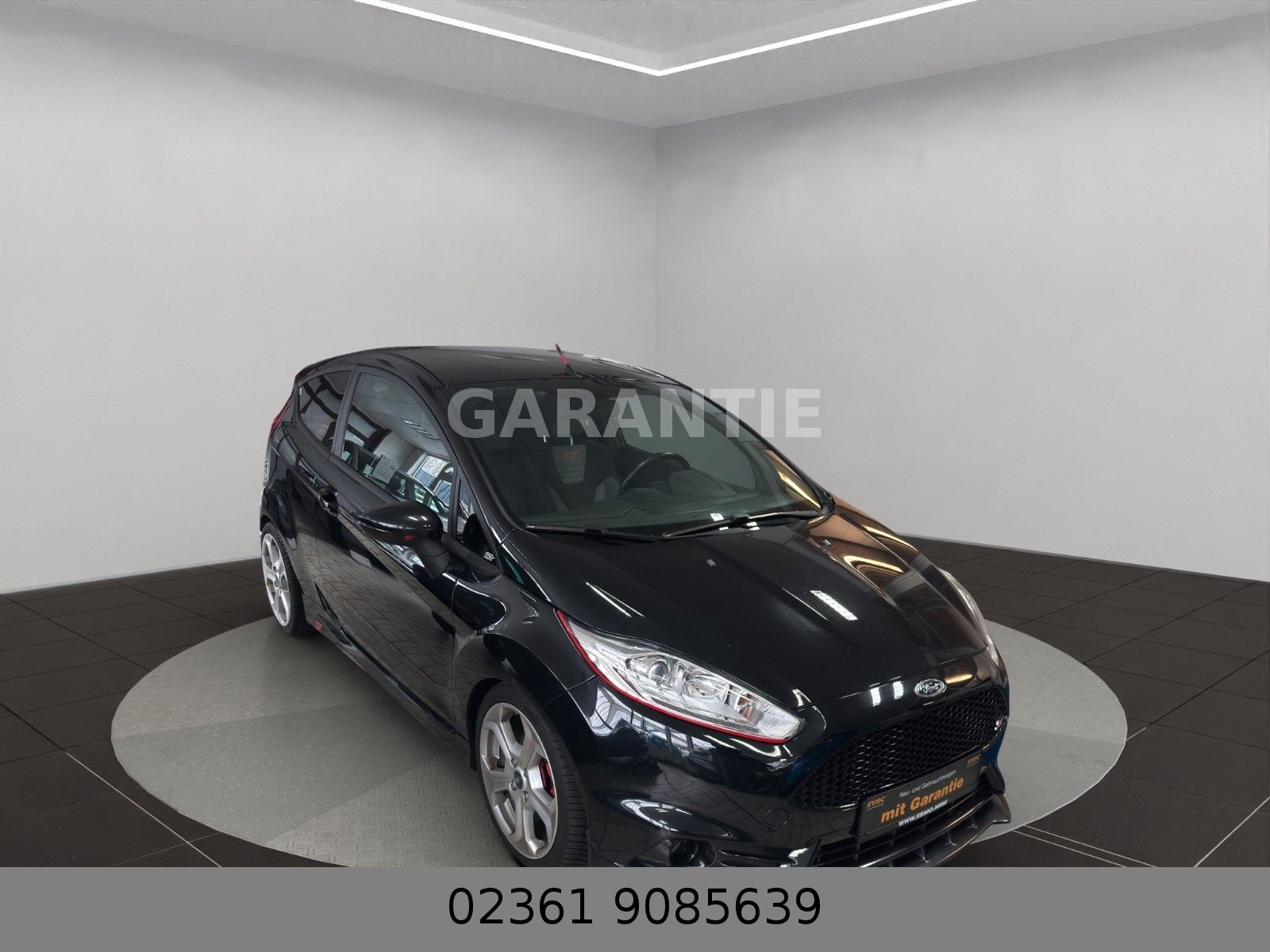 Fahrzeugabbildung Ford Fiesta ST Mega Optik