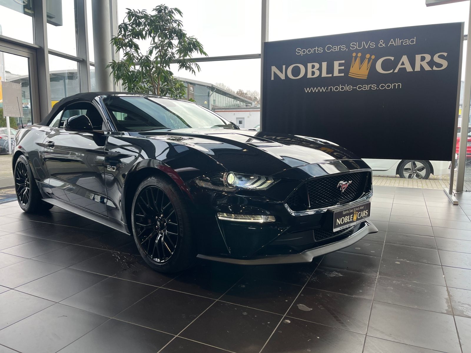 Fahrzeugabbildung Ford Mustang GT Convertible LED NAVI LEDER ALU