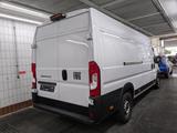 Fiat Ducato H2 Kastenwagen 35 L4H2 180 Multijet Maxi - Fiat Ducato: Kastenwagen