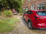 Lexus NX 300 300h - - scheckheftgepflegte Lexus NX 300