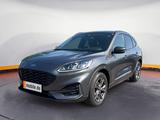 Ford Kuga ST-Line X AWD AHK+B&O+Winterpaket+Kamera - Ford Kuga in Braunschweig