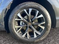 Cupra Terramar - Vorschau Bild 7