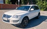 Volkswagen VW TOUAREG 7L COSMO - Volkswagen Touareg 7L