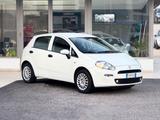 Fiat Punto 1.2 Benzina 69CV E6 Neo. - 2016 - Fiat Punto: 1.6