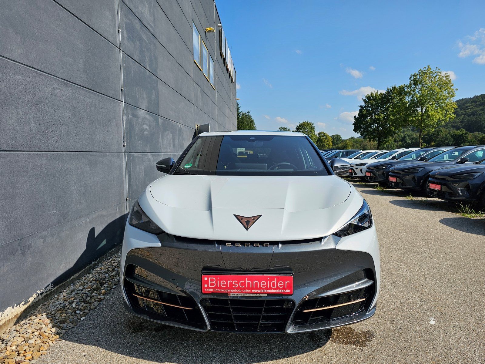 Cupra Tavascan - Bild 2