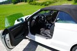 Audi A3 2.0 TDI S tronic S line Cabriolet S line - Audi A3: Weiß, Cabrio