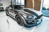 Ford Mustang 3,7 LPG BRC GT 350 RTR KAMERA TOP - mit LPG-Antrieb: Grau