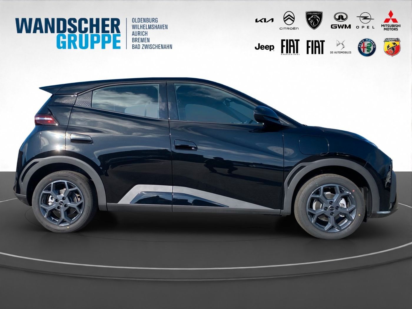 BYD DOLPHIN SURF