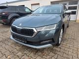 Skoda Octavia Combi Scout First Edition 4x4 - Skoda: Combi Scout