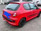 Peugeot peguet 206+TÜV NEU - Peugeot 206 von privat