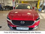 Mazda CX-30 2.0 Selection 2WD LED, Navi, DAB, App - Mazda Gebrauchtwagen in Freiburg