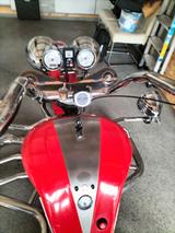 Boom Mustang Family  - TRIKE