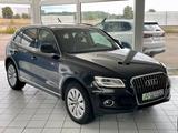 Audi Q5 2.0 TFSI  quattro *PDC*MEMORY-SITZE*SITZHZG.* - Audi Q5 aus 2013 mit Benzin-Antrieb: Geländewagen, 2.0