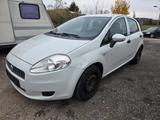 Fiat Punto Evo 1.2 8V Active - gebrauchte Fiat Punto Evo aus dem Jahr 2009