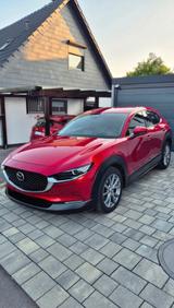 Mazda CX-30 2.0 SKYACTIV-G M-Hybrid 150 Selection ... - rote Mazda CX-30