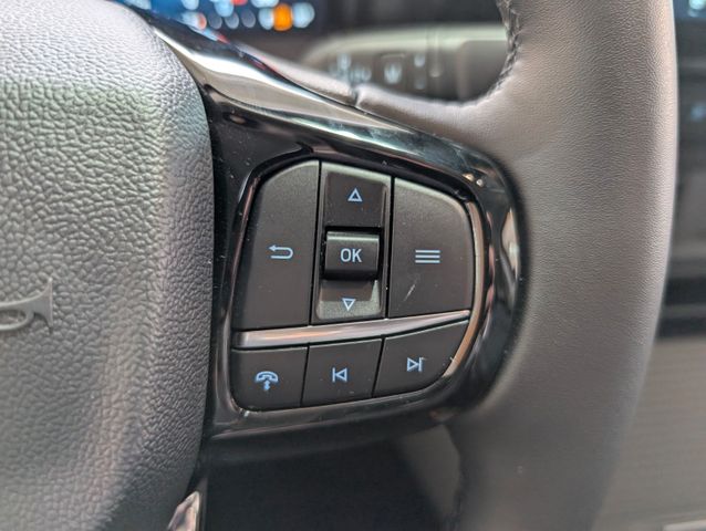 Ford Tourneo Custom Aut L1 Tit X 4WD Standheizung